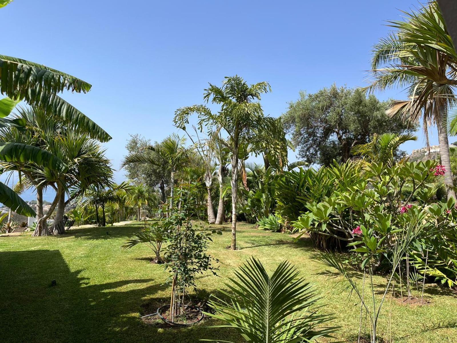 Bed & Breakfast In Villa Eden Palm Benalmádena Εξωτερικό φωτογραφία